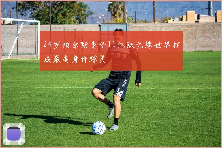 24岁帕尔默身价11亿欧无缘世界杯成最高身价球员